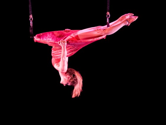 Aerial dancer in a hoop dress - cerceau, robe, spectacle